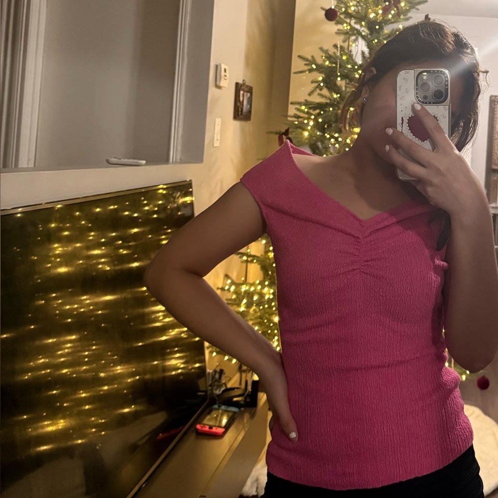 Zara Pink Crop Top